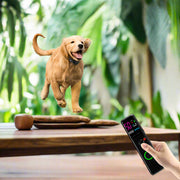 New Dog Trainer Bark Stopper – Remote Control Electric Training Collar, Waterproof, Rechargeable, Colour Screen