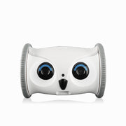 Interactive Owl Pet Toy – Moving Robot with Snack Dispenser, Sound & Camera