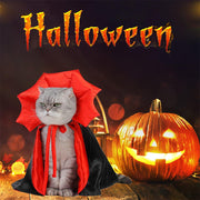 Halloween Pet Costumes – Vampire & Witch Cloaks for Cats and Dogs
