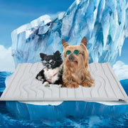 Pet Cooling & Heating Pads – Summer Ice Pads for Dogs & Cats, Sleeping & Heatstroke Prevention