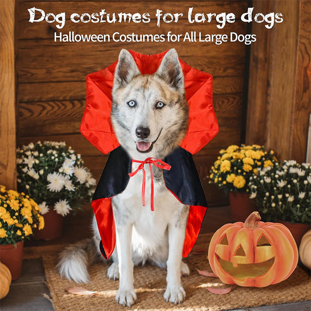 Halloween Pet Costumes – Vampire & Witch Cloaks for Cats and Dogs