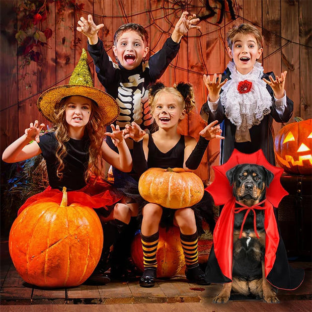 Halloween Pet Costumes – Vampire & Witch Cloaks for Cats and Dogs