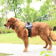 Adjustable Nylon Chest Strap for Dogs