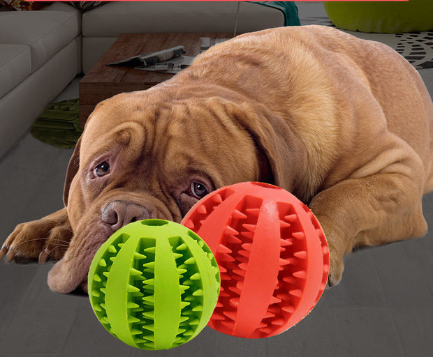 Durable Chew Toy for Teeth Cleaning