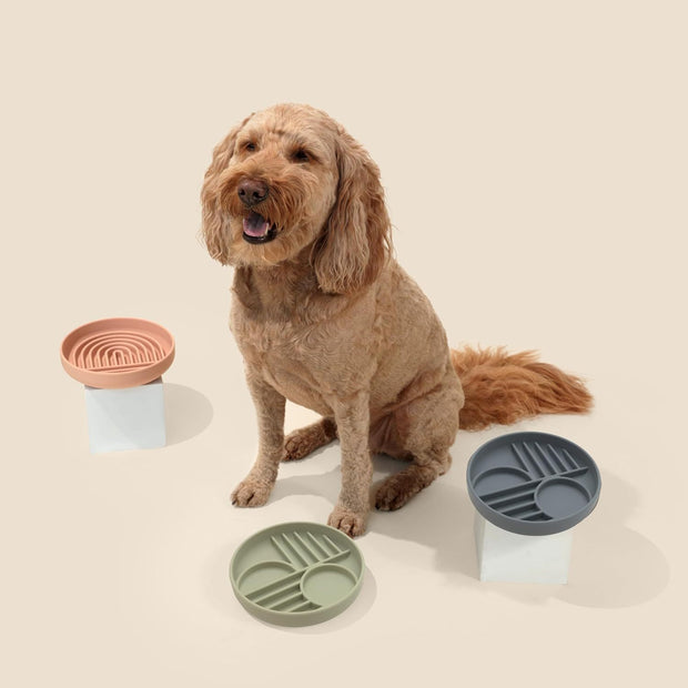 The Slowdown Bowl™ – Silicone Slow Feeder Dog Bowl | Anti-Gulp