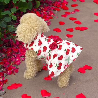 Cute Pet Skirt for Dogs & Cats