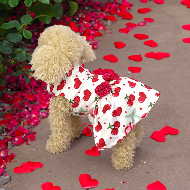 Cute Pet Skirt for Dogs & Cats