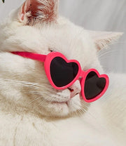 Doll Sunglasses – Cute Pet Toy Accessories for Cats & Small Dogs