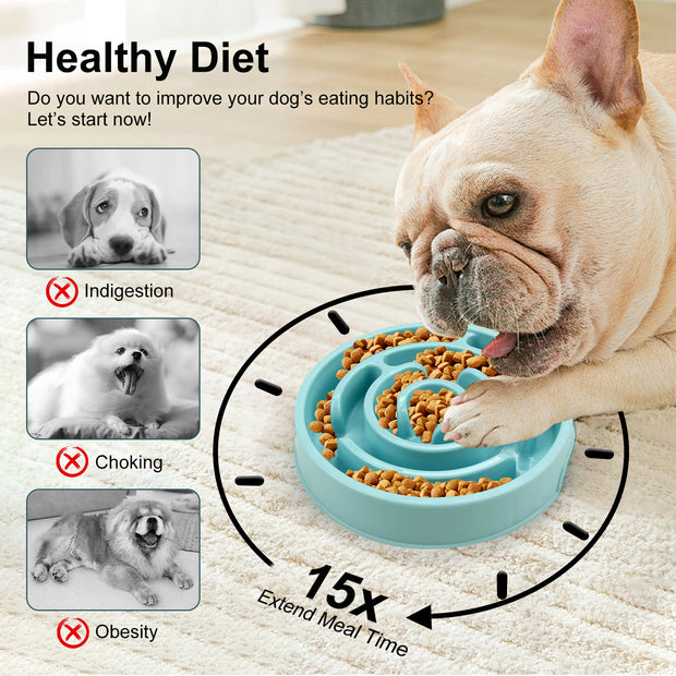 Slow Feeder Dog Bowl – Healthy, Safe & Engaging Mealtime Solution