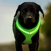 LED Luminous Dog Harness – USB Rechargeable Reflective Safety Vest for Small & Large Dogs