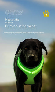 LED Luminous Dog Harness – USB Rechargeable Reflective Safety Vest for Small & Large Dogs