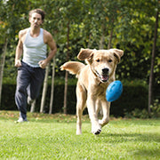 Indestructible Squeaky Dog Toy for Aggressive Chewers | Durable Natural Rubber Ball