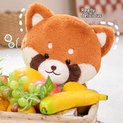 Cute Raccoon Plush Toy