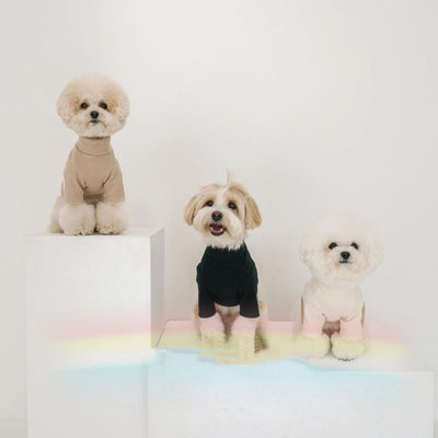 Casual Pet Clothes for Dogs & Cats