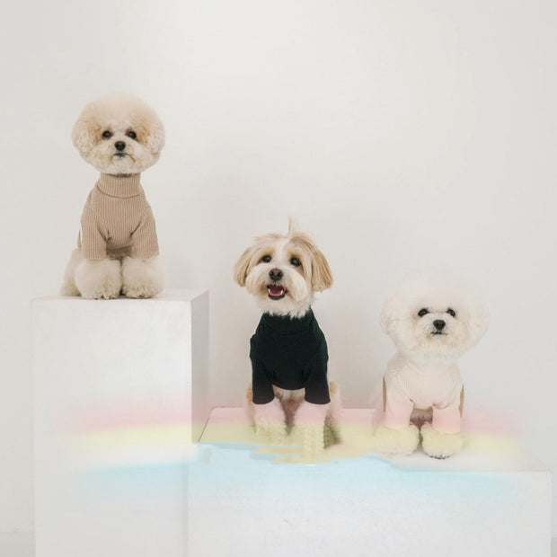 Casual Pet Clothes for Dogs & Cats