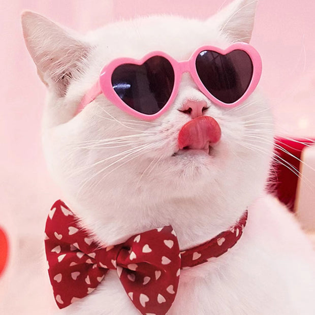 Doll Sunglasses – Cute Pet Toy Accessories for Cats & Small Dogs