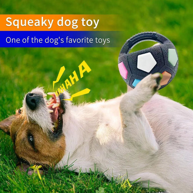 Durable Football & Tennis Ball Dog Toy – Squeaky Teething Relief