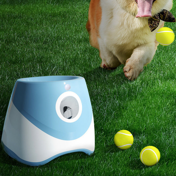The Mindful Mutt™ Automatic Mini Tennis Launcher